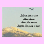 Life is Not a Race Postcard postcards