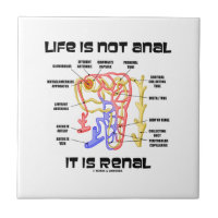 Life Is Not Anal It Is Renal (Kidney Nephron) Small Square Tile