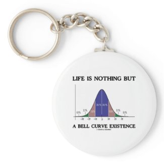 Life Is Nothing But A Bell Curve Existence Key Chain