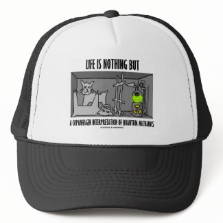 Life Is Nothing But A Copanhagen Interpretation hat