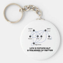 Life Is Nothing But A Molasses Of Matter Key Chains