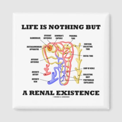 Life Is Nothing But A Renal Existence Magnets