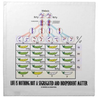 Life Is Nothing But A Segregated Independent Napkin