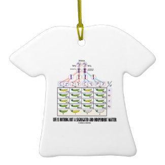 Life Is Nothing But A Segregated Independent Double-Sided T-Shirt Ceramic Christmas Ornament