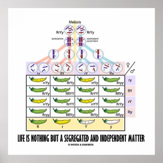 Life Is Nothing But A Segregated Independent Print