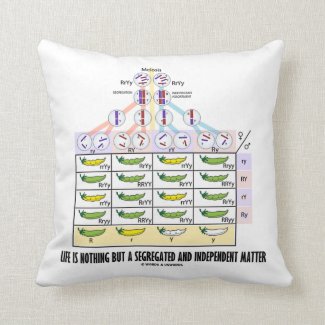 Life Is Nothing But A Segregated Mendelian Genetic Pillows