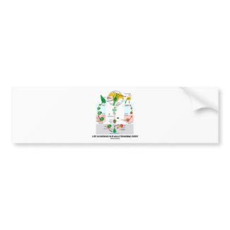Life Is Nothing But An Alternating Event zazzle_bumpersticker