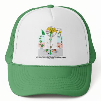 Life Is Nothing But An Alternating Event zazzle_hat