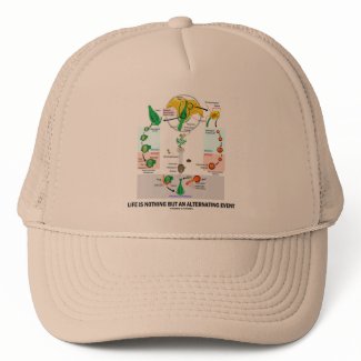 Life Is Nothing But An Alternating Event zazzle_hat