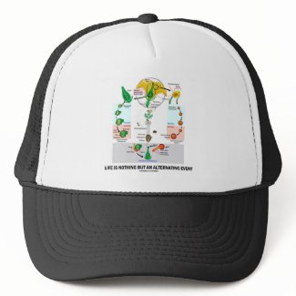 Life Is Nothing But An Alternating Event zazzle_hat