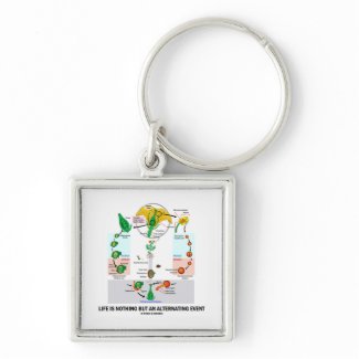 Life Is Nothing But An Alternating Event zazzle_keychain