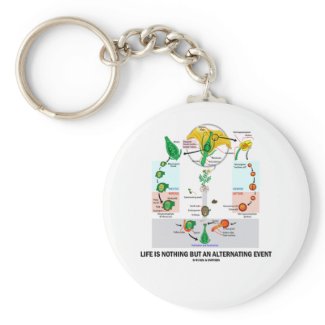Life Is Nothing But An Alternating Event zazzle_keychain