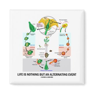 Life Is Nothing But An Alternating Event zazzle_magnet