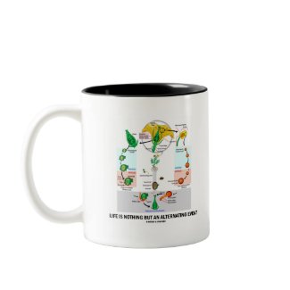 Life Is Nothing But An Alternating Event zazzle_mug