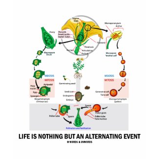 Life Is Nothing But An Alternating Event zazzle_shirt