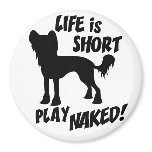 dog, chinese, crested, hairless, play, naked, fun,