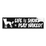 dog, chinese, crested, hairless, play, naked, fun,