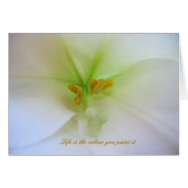 Life is the colour you paint it cards