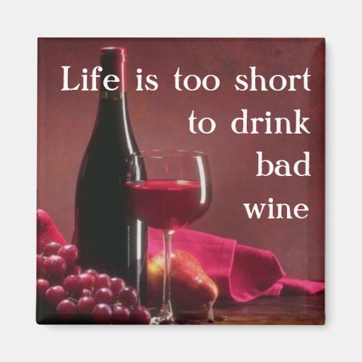 Life is too short Magnet