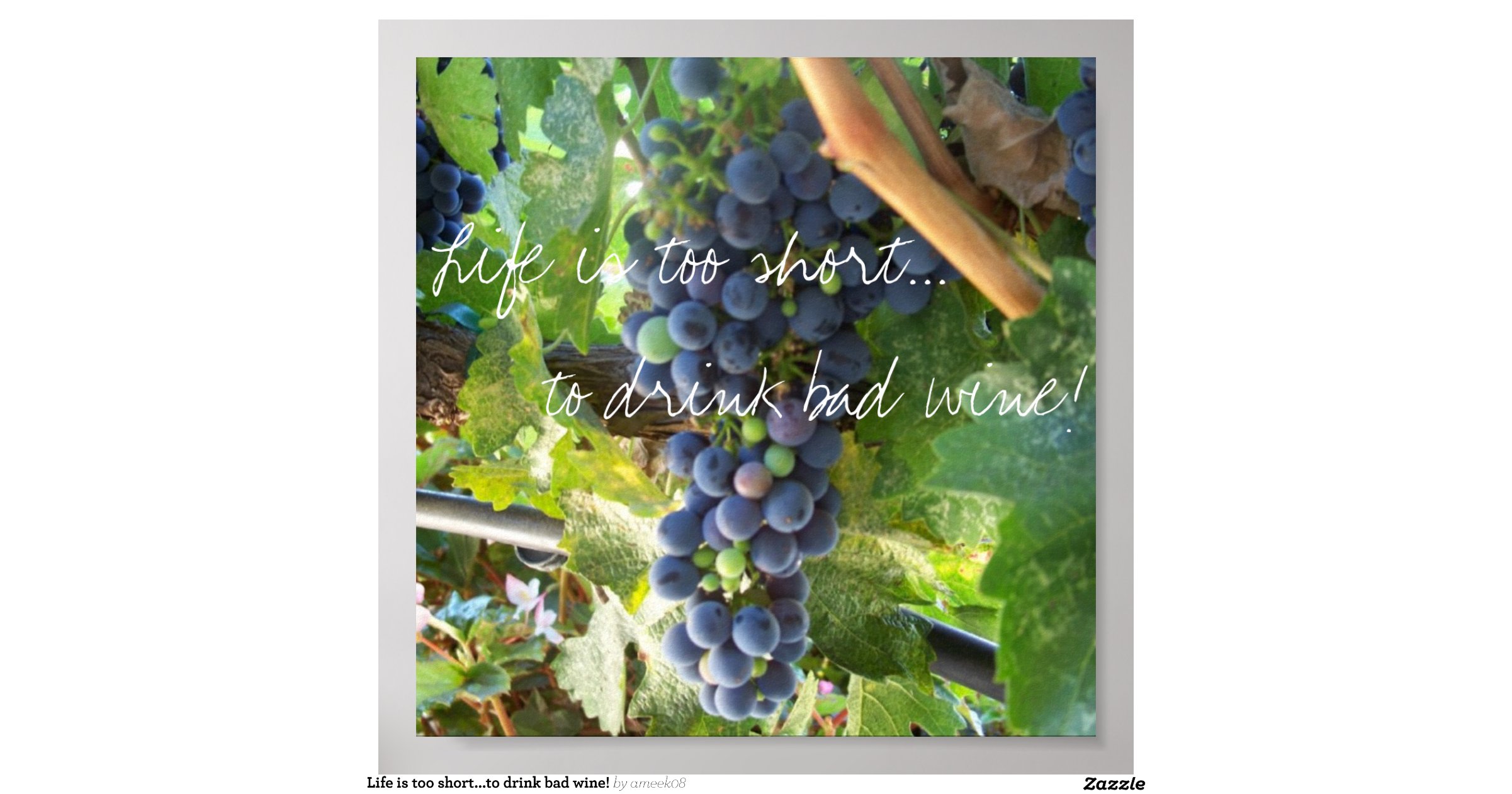 life_is_too_short_to_drink_bad_wine_poster