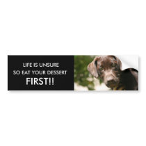 LIFE IS UNSURE, SO EAT YOUR DESSERT, ... bumper stickers