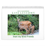 Life Lessons Animal Calendar 2013