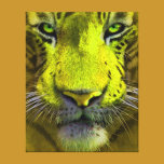 Life Like 3D Tiger  Wall Canvas Art canvas prints