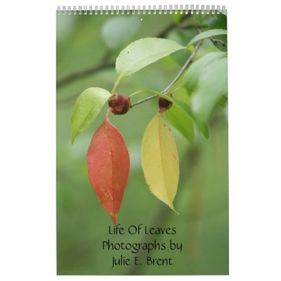 Life Of Leaves- Photographs by Julie E Brent Calendar Life Of Leaves- Photographs by Julie E Brent Calendar