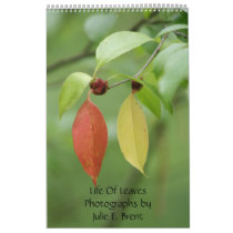 Life Of Leaves- Photographs by Julie E Brent calendars by Jubileerainbow Life Of Leaves- Photographs by Julie E Brent calendars