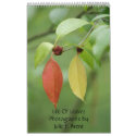 Life Of Leaves- Photographs by Julie E Brent calendar