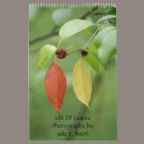Life Of Leaves- Photographs by Julie E Brent calendars