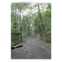 Life Paths Cards