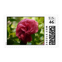 Life Postage Stamp