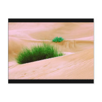 Life postcards by efatima Life postcards