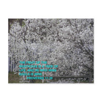 LIFE postcards