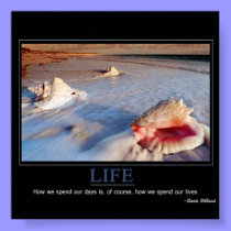Life posters