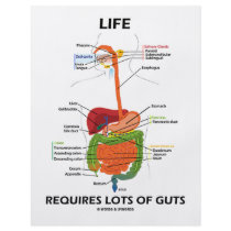 Life Requires Lots Of Guts (Digestive System) flyers by wordsunwords Life Requires Lots Of Guts (Digestive System) flyers