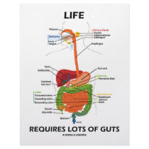 Life Requires Lots Of Guts (Digestive System) letterhead by wordsunwords Life Requires Lots Of Guts (Digestive System) letterhead