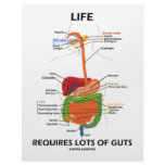 Life Requires Lots Of Guts (Digestive System) Letterhead Design