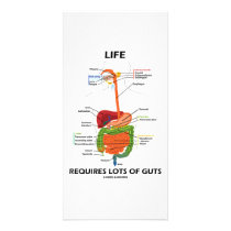 Life Requires Lots Of Guts (Digestive System) photo cards