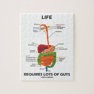 Digestive System Puzzles | Digestive System Jigsaw Puzzles