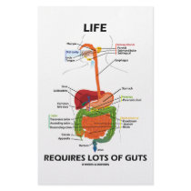 Life Requires Lots Of Guts (Digestive System) stationery