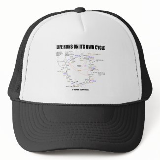Life Runs On Its Own Cycle (Krebs Cycle - TCAC) hat