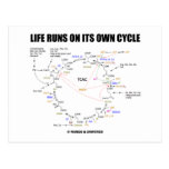 Life Runs On Its Own Cycle (Krebs Cycle - TCAC) Post Cards