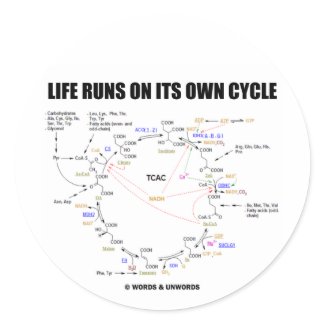 Life Runs On Its Own Cycle (Krebs Cycle - TCAC) sticker