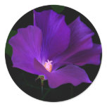 Life Round Sticker