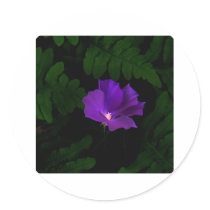 Life Round Stickers