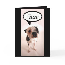 Life Sucks - Customized cards