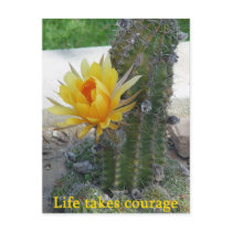 Life Takes Courage postcards by kjtiggs Life Takes Courage postcards