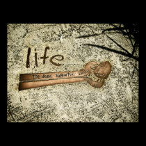 Life : The Seed of Caring Poster posters